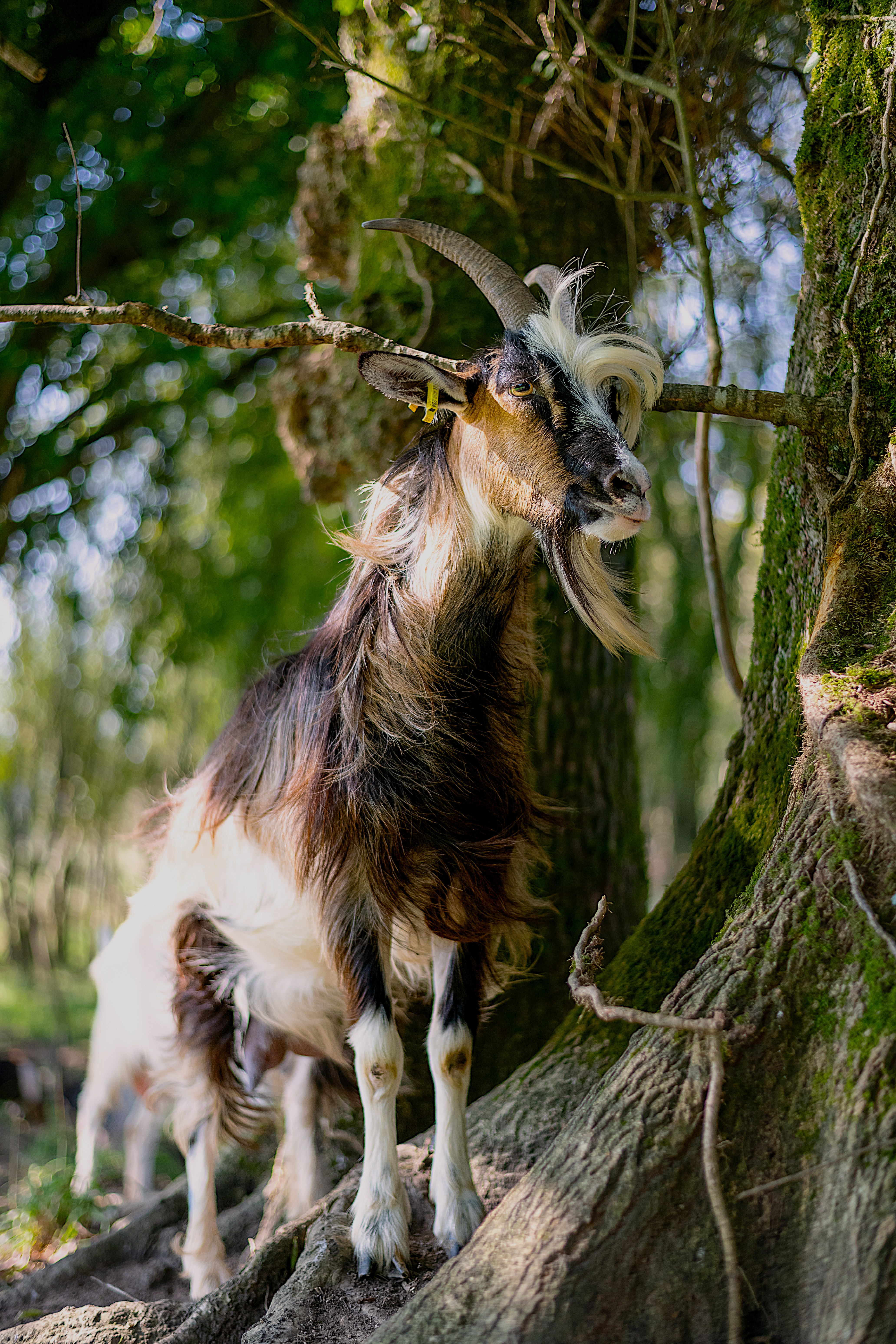 e.desmas 19.09.2024 42