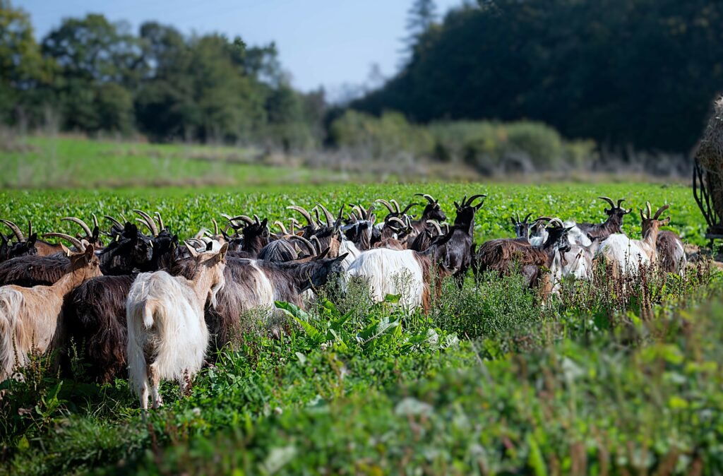 e.desmas 19.09.2024 48