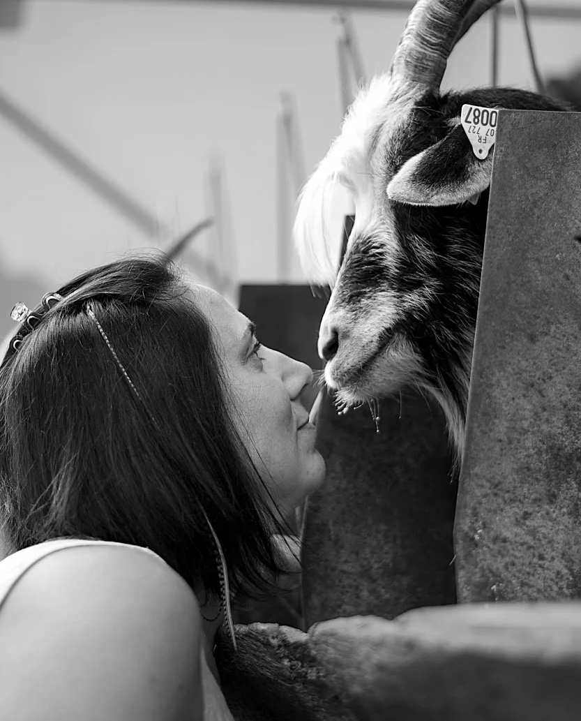 Aidez-moi à sauver ma ferme