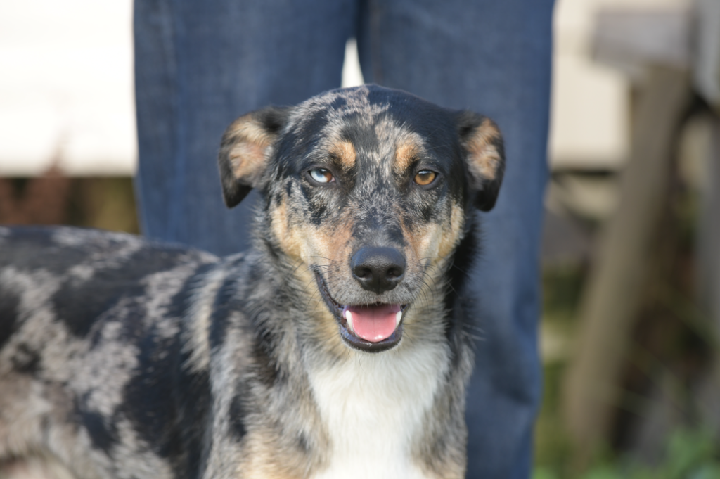 capture d'écran 2025 12 11 192535