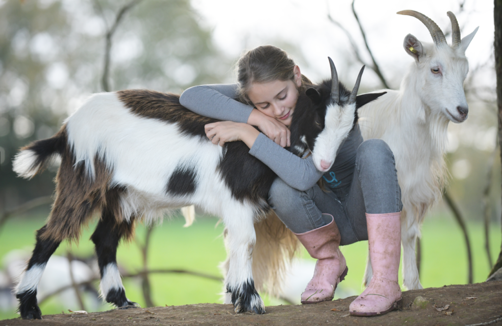 capture d'écran 2025 12 11 193215