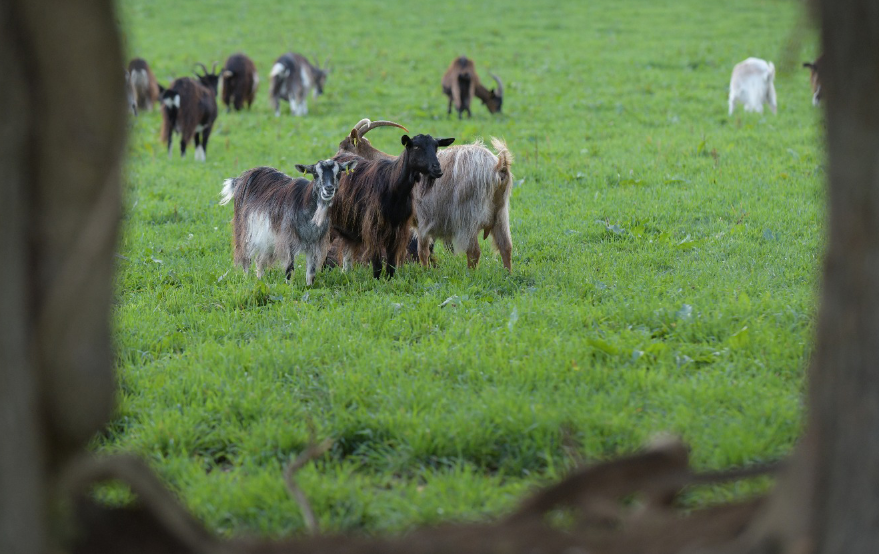 capture d'écran 2025 12 11 194703